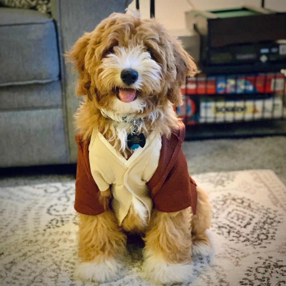 Meet your Posher, Chase